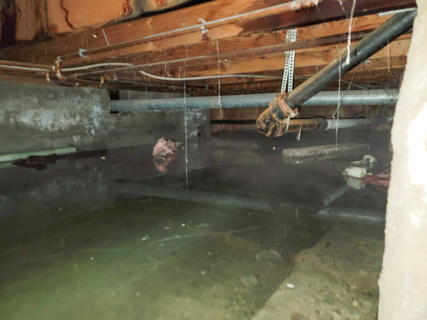 Best Emergency water damage restoration  in USA